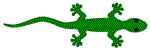 CTS Lizard Logo